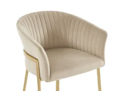 Lot De 2 Chaises Avec Accoudoirs En Velours Et Métal Doré - Beige - ZAOVA De Pascal MORABITO -Meubles Soldes Magasin chaise 18483047