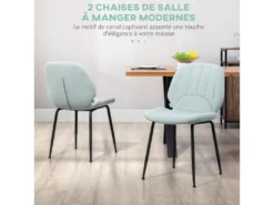 Lot De 2 Chaises De Salle à Manger En Velours Avec Dossier, Assise Rembourrée Et Pieds En Acier Vert Et Noir -Meubles Soldes Magasin chaise 22167609