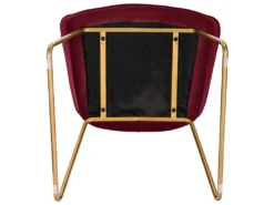 1x Chaise De Salle à Manger En Velours Bordeaux 19_0000134 -Meubles Soldes Magasin chaise 9249823