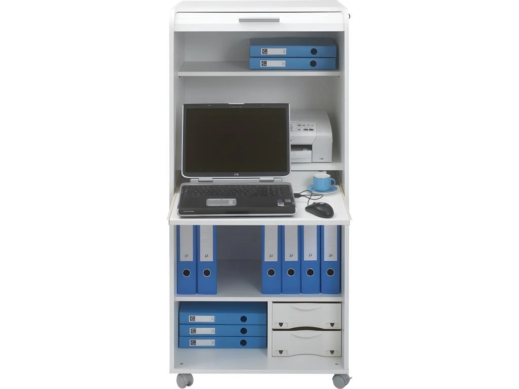 Armoire Informatique Blanche à Roulettes 2 Tiroirs - Coloris: Bambous 912 3 Armoire Informatique Blanche à Roulettes 2 Tiroirs - Coloris: Bambous 912 – Image 3