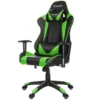 Paracon Knight Fauteuil De Gamer Avec Oreiller Cervical Et Soutien Lombaire, Vert.